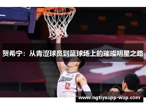 贺希宁：从青涩球员到篮球场上的璀璨明星之路